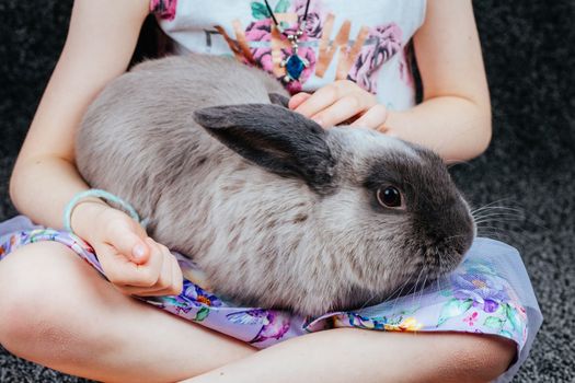 A beautiful lop rabbit being held by a young girl in a home environment