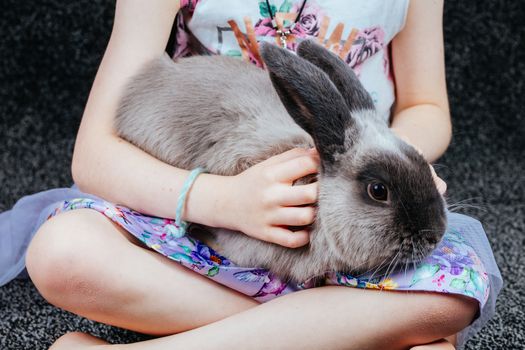 A beautiful lop rabbit being held by a young girl in a home environment