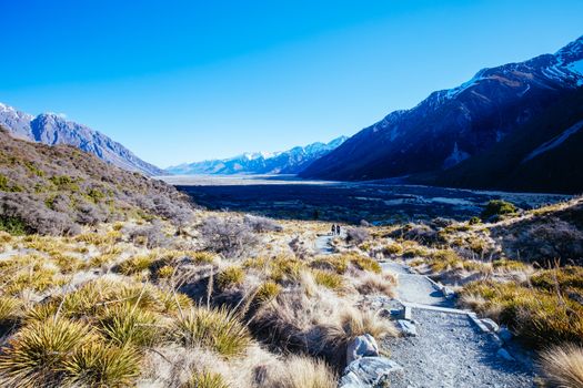 The view towards Lake Pukaki on the towards the Tasman Glacier near Mt Cook in New Zealand