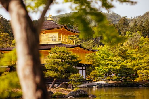 The world famous Kinkakuji Temple (The Golden Pavilion) in Kyoto, Japan