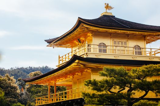 The world famous Kinkakuji Temple (The Golden Pavilion) in Kyoto, Japan