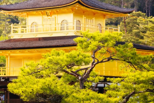 The world famous Kinkakuji Temple (The Golden Pavilion) in Kyoto, Japan