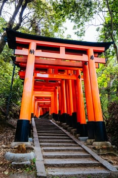 Red Tori Gate at Fushimi Inari Shrine in Kyoto, Japan. One of the largest tourist attractions in Japan