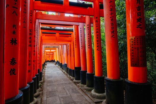 Red Tori Gate at Fushimi Inari Shrine in Kyoto, Japan. One of the largest tourist attractions in Japan