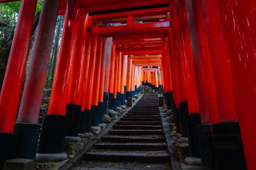Red Tori Gate at Fushimi Inari Shrine in Kyoto, Japan. One of the largest tourist attractions in Japan
