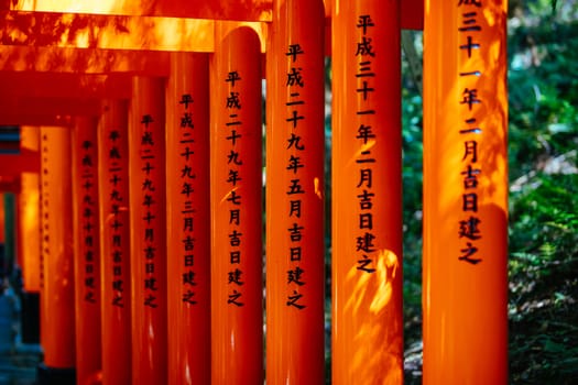 Red Tori Gate at Fushimi Inari Shrine in Kyoto, Japan. One of the largest tourist attractions in Japan