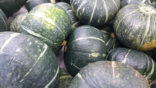 Heap of Green Pumpkin: A close-up view of large, fresh green pumpkins