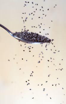 Chia seeds fall on a spoon. Light background. High quality photo