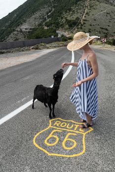 Young attractive female traveler wearing striped summer dress and straw hat standing on an endless straight empty road in the middle of nowhere on the Route 66 road and feeding black sheep.