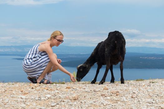 Young attractive female traveler wearing striped summer dress, squatting, feeding and petting black sheep while traveling Adriatic coast of Croatia.