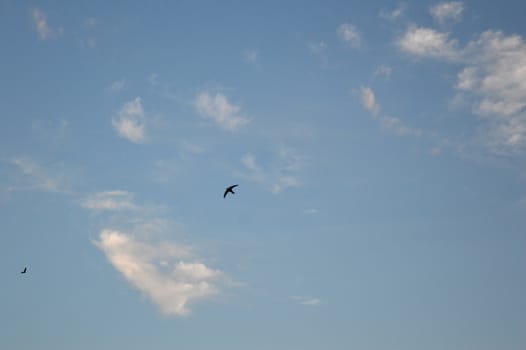 Beautiful eveing sky with clouds, air nature