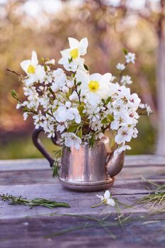 Steel kettle with sprigs of cherry blossoms, pears and apple trees on a natural blurred background. High quality photo