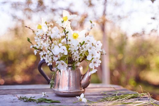 Steel kettle with sprigs of cherry blossoms, pears and apple trees on a natural blurred background. High quality photo