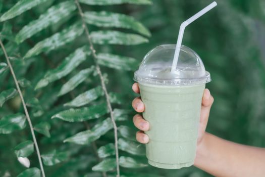 Woman hand holding glass of ice matcha green tea on green nature, selective focus