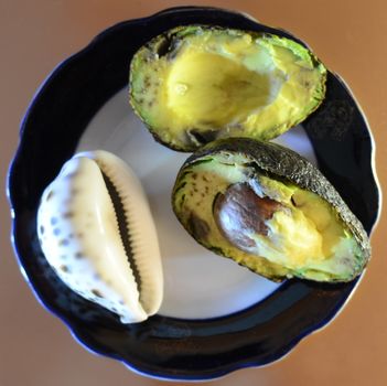 dessert on a plate - two halves of a ripe avocado and a seashell for composition