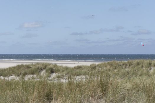 Küstenlandschaft auf Texel - coast at Tessel