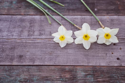 Beautiful white daffodil flowers lie on a wooden table. High quality photo