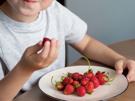 Little unrecognizable boy eats fresh strawberry with relish. Happy child eats organic strawberry at the kitchen table