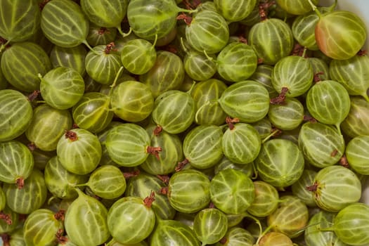 The fruit of the green gooseberry. Lots of pieces. High quality photo