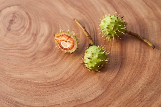 Green fruit of wild chestnut on a wooden slice. High quality photo