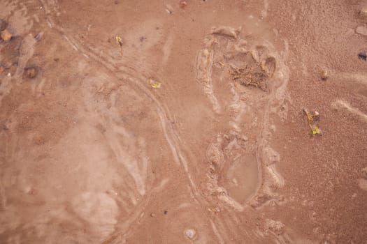 trace of the human foot on the sand. High quality photo