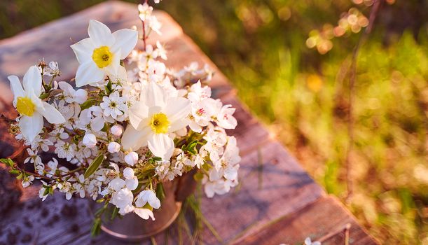 Steel kettle with sprigs of cherry blossoms, pears and apple trees on a natural blurred background. High quality photo