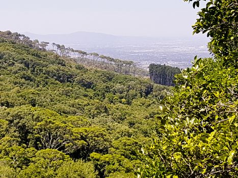 View from Table Mountain in Cape Town to the Claremont area and mountains in South Africa.