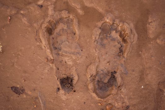 trace of the human foot on the sand. High quality photo