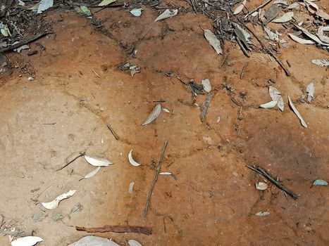 Texture of ferruginous red Ferralsol or laterite soil in Table Mountain National Park in Cape Town, South Africa.