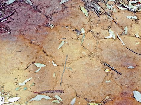 Texture of ferruginous red Ferralsol or laterite soil in Table Mountain National Park in Cape Town, South Africa.