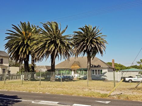 Palms and houses in Claremont, Cape Town, South Africa as Cuba.