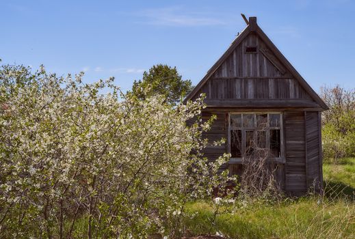 An old house in the countryside against the backdrop of greenery and sky. High quality photo