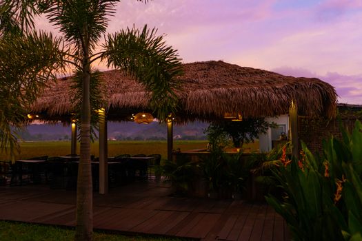 Beautiful pink sunset in the tropics. Street canopy from hay, kitchen area with rice field view.