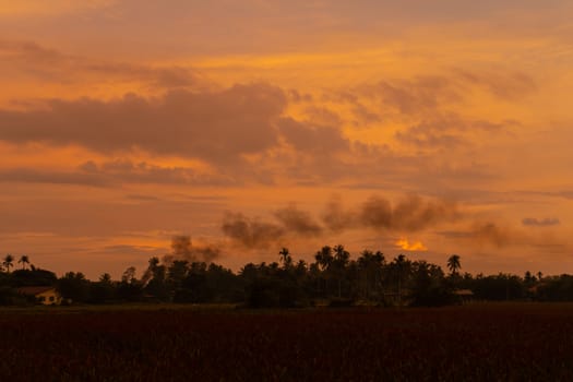 unusually beautiful fiery red tropical sunset in the mountains