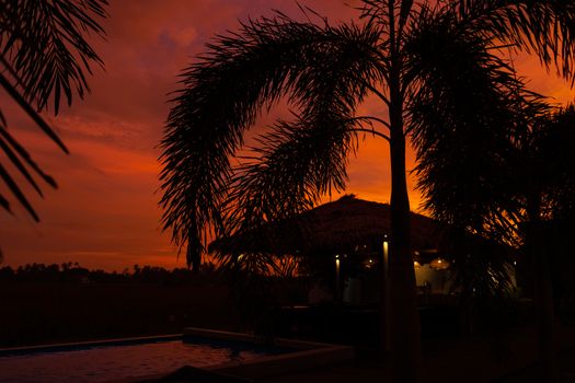 Beautiful orange fiery sunset in the tropics. Street canopy from hay, next to the pool and overlooking the rice field