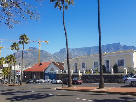 Typical street with palm trees and Table Mountain National Park view in Cape Town, South Africa.