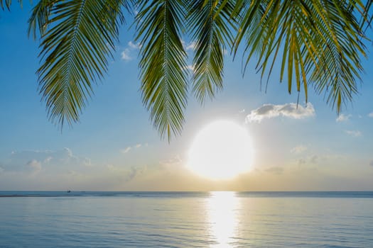 Sunset on a paradise tropical beach with palm trees