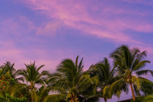 Sunset on a paradise tropical beach with palm trees