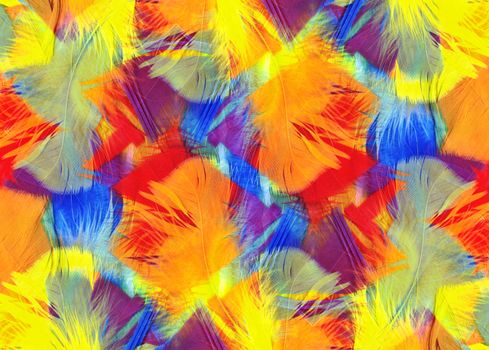 Multi coloured abstract feathers texture background stock photo