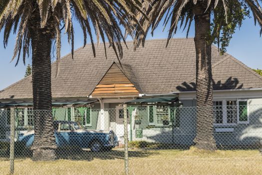 Palms and houses in Claremont, Cape Town, South Africa as Cuba.