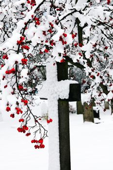 Old snow covered granite stone cross framed with red berries found in an old graveyard in a Christmas winter stock photo