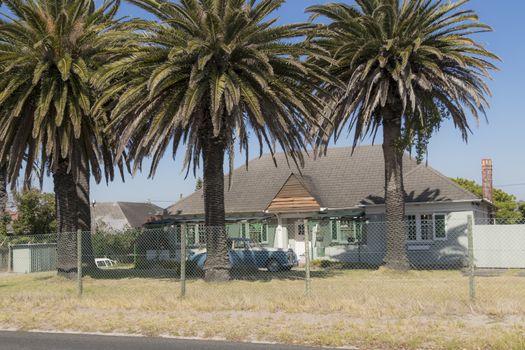 Palms and houses in Claremont, Cape Town, South Africa as Cuba.