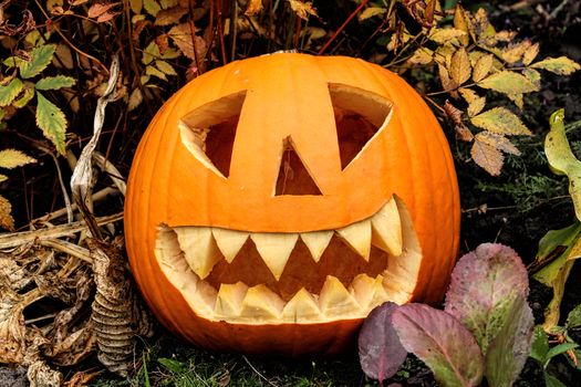 Illuminated spooky Halloween Jack O' Lantern pumpkin lantern at night in October stock photo