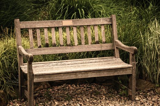 Vacant antique bench. Conception of nostalgia and loneliness. Alone grunge, old-fashioned furniture for sitting. Conceptual photography of solitude sadness and calmness. Melancholy scene at springtime