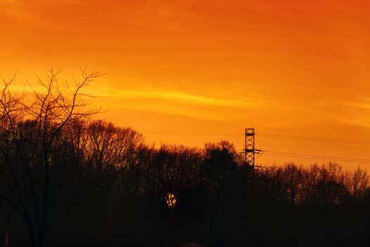 Sunset sky. Late orange sun with trees silhouettes scenery. Photography of tranquil skyline with woods silhouette and high voltage tower in the distance. Golden sundown gorgeous scenic wallpaper.