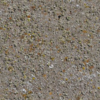 Photo realistic seamless texture of a tileable concrete wall with high details