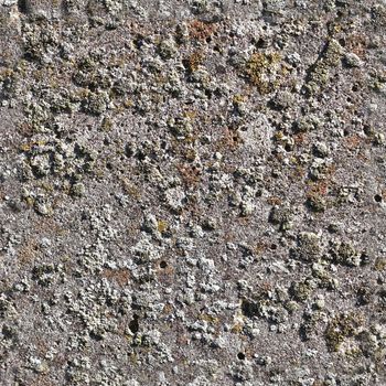 Photo realistic seamless texture of a tileable concrete wall with high details