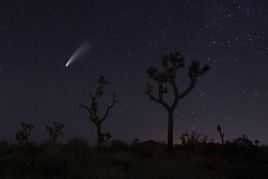 Night Sky Landscape Image of the Stars in the Universe