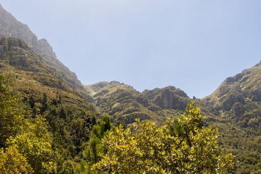 View from Table Mountain National Park in Cape Town, South Africa.