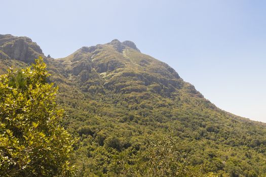 View from Table Mountain National Park in Cape Town, South Africa.